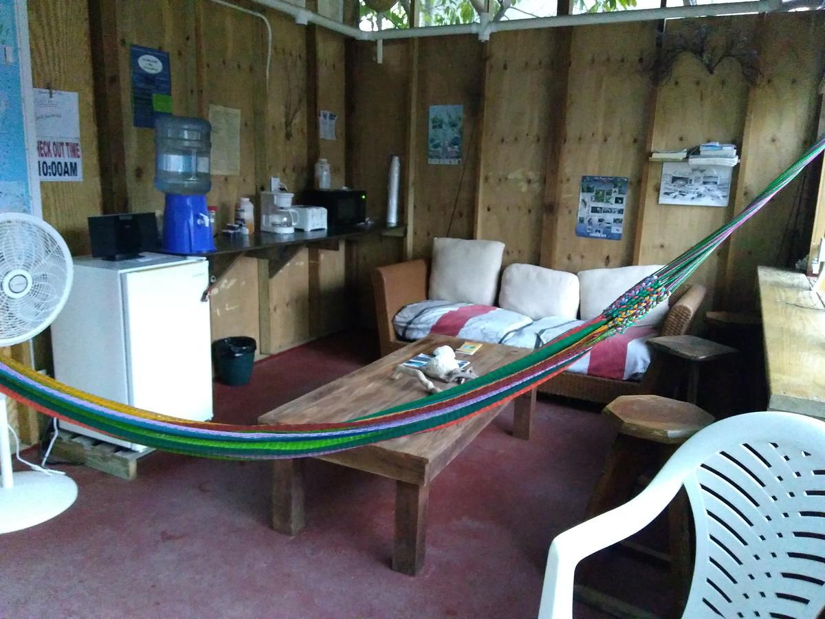 Placencia Hostel Екстер'єр фото